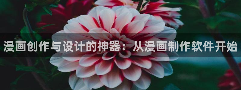 歪歪漫画首页免费观看羞：漫画创作与设计的神器：从漫画制作软件开始