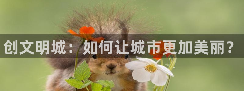 歪歪漫画无窗口：创文明城：如何让城市更加美丽？